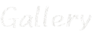 Gallery（主な作品）